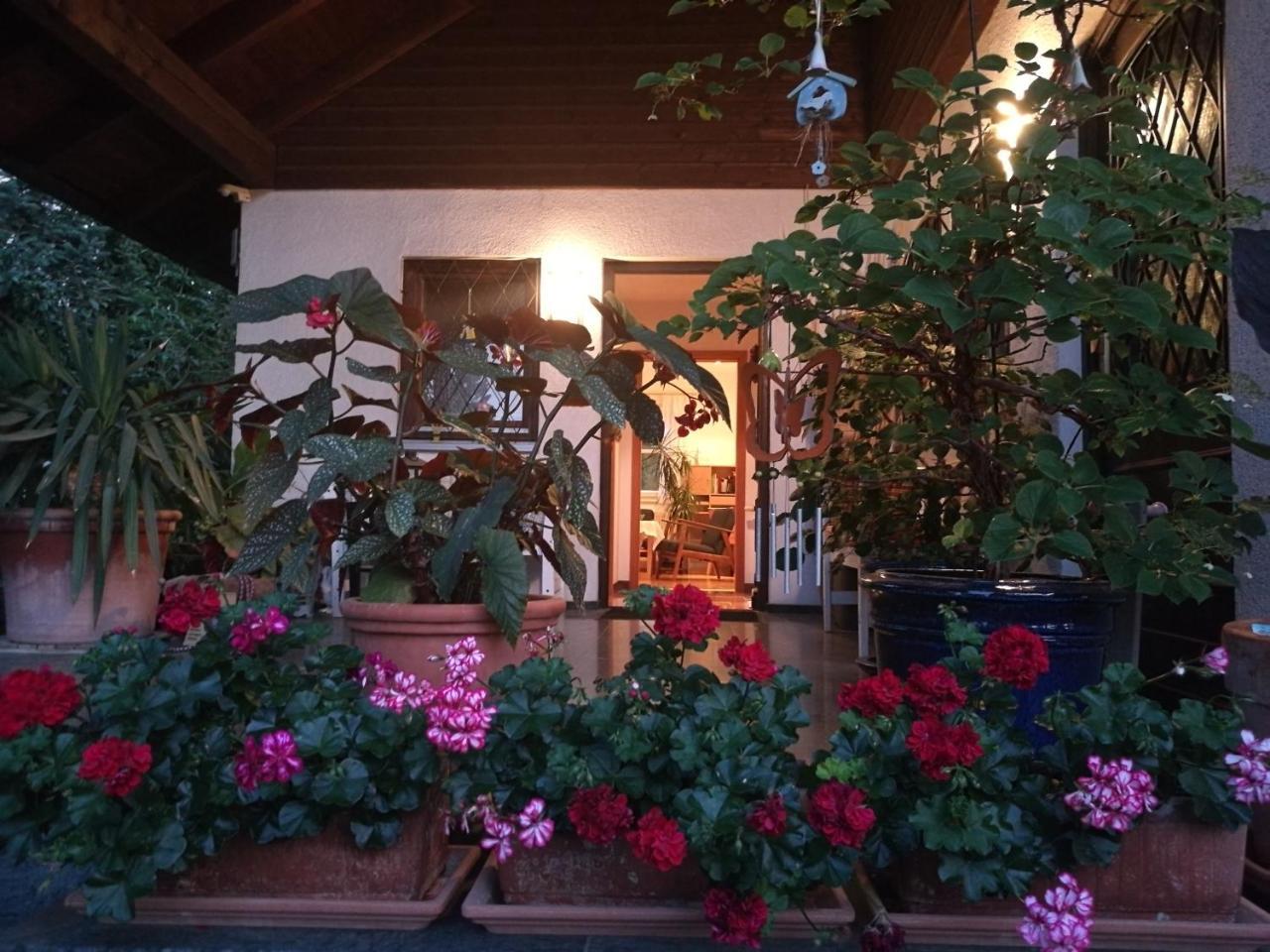 Apartment Haus Merlin Am Boeckelsberg Weimar  Zewnętrze zdjęcie